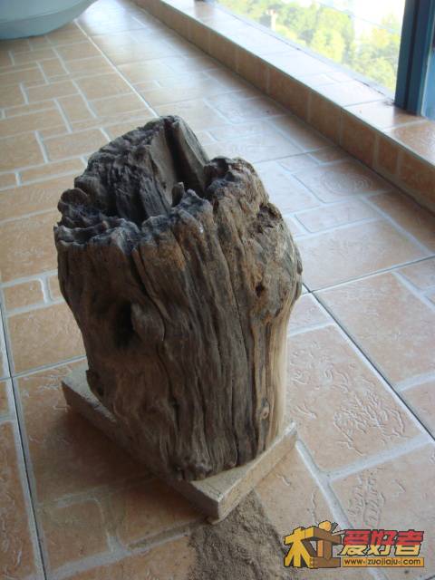 DSC04085.JPG