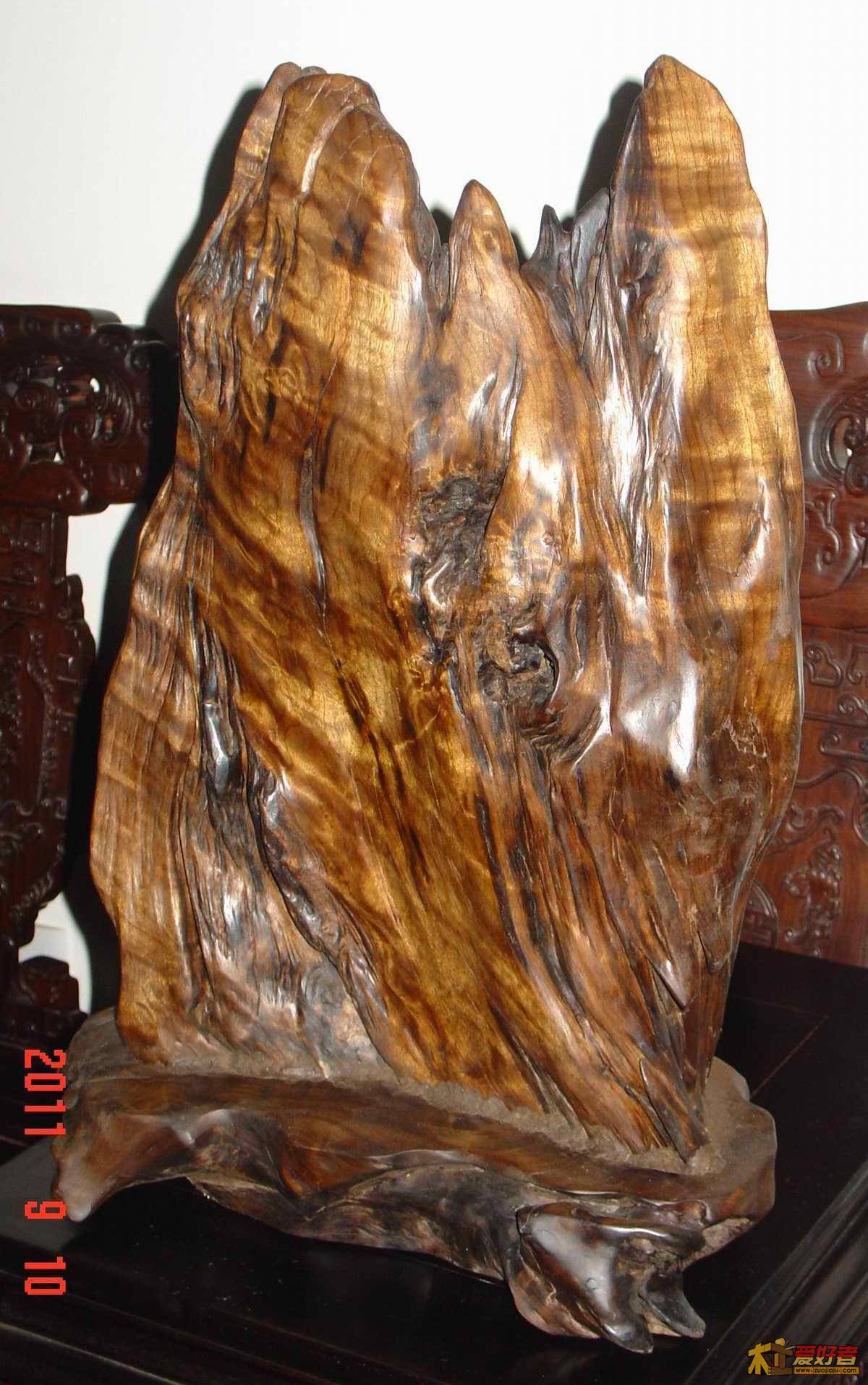 DSC05482-1.jpg