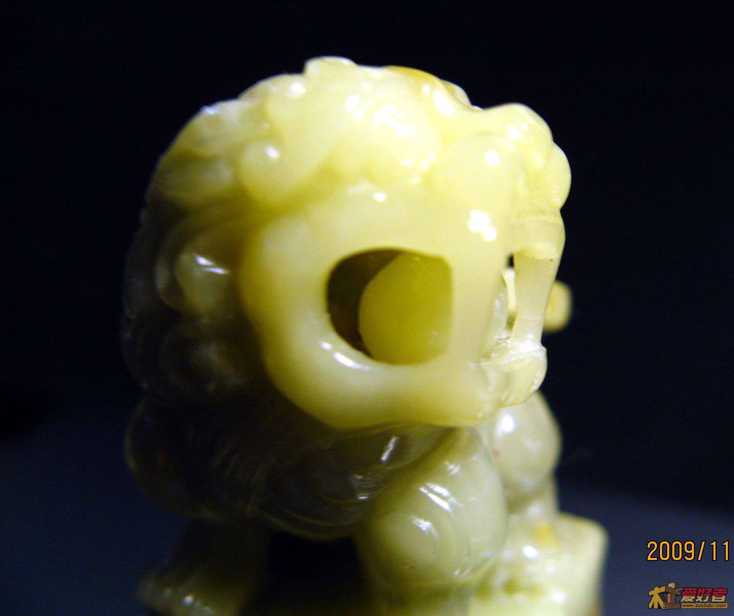 shizi 005.jpg
