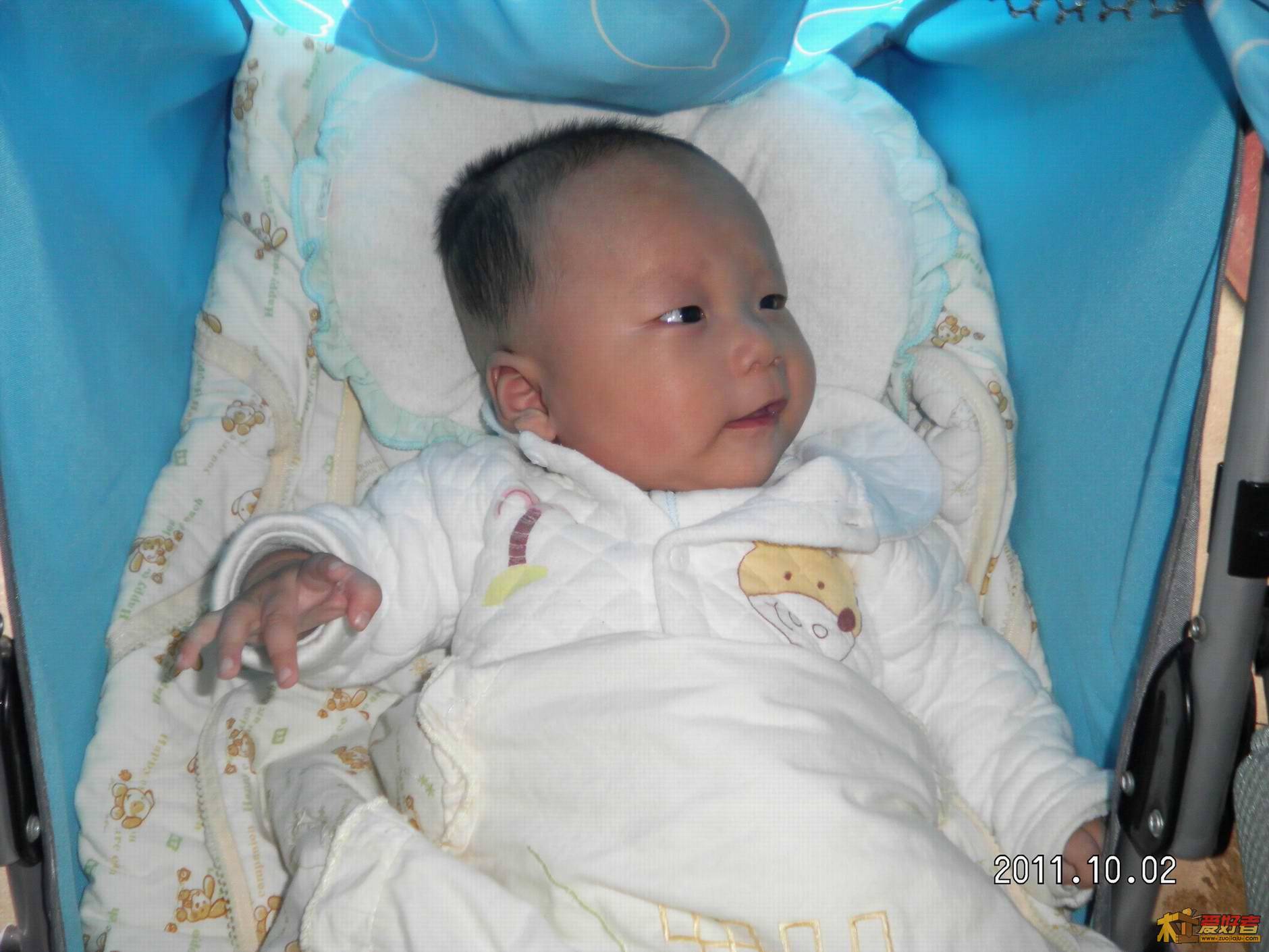 SANY0075.jpg