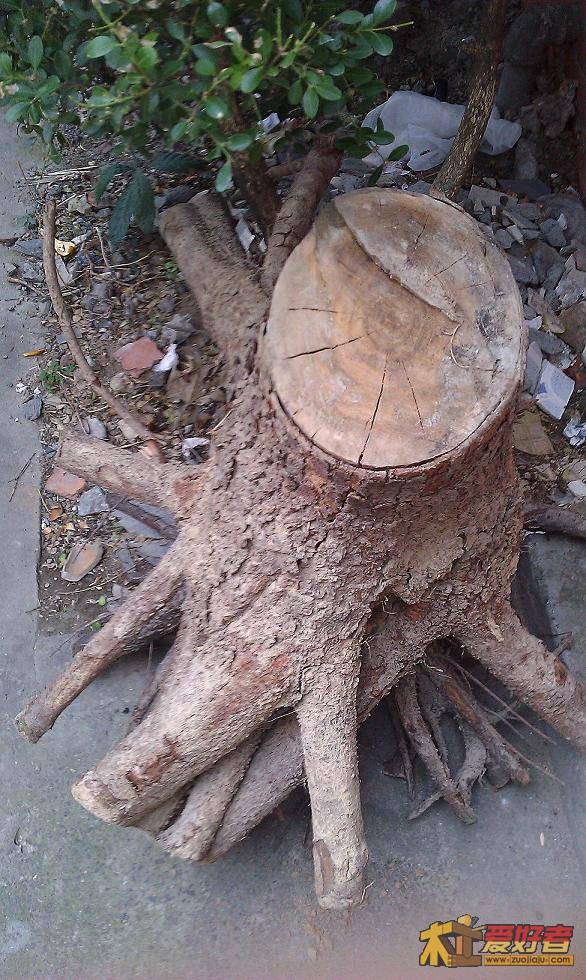 IMAG0133.jpg