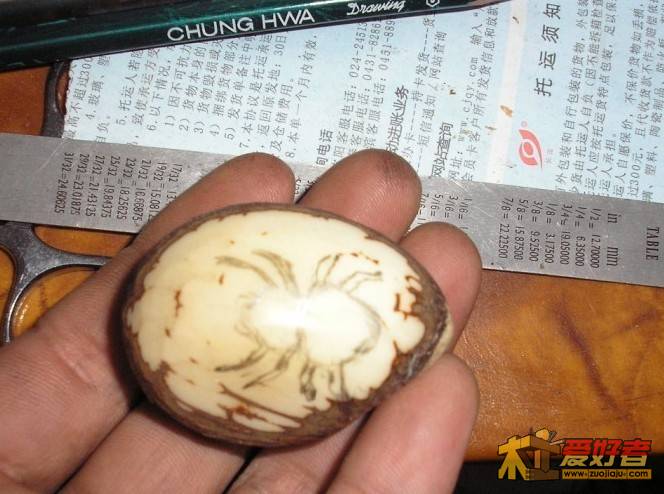 未命名22.jpg