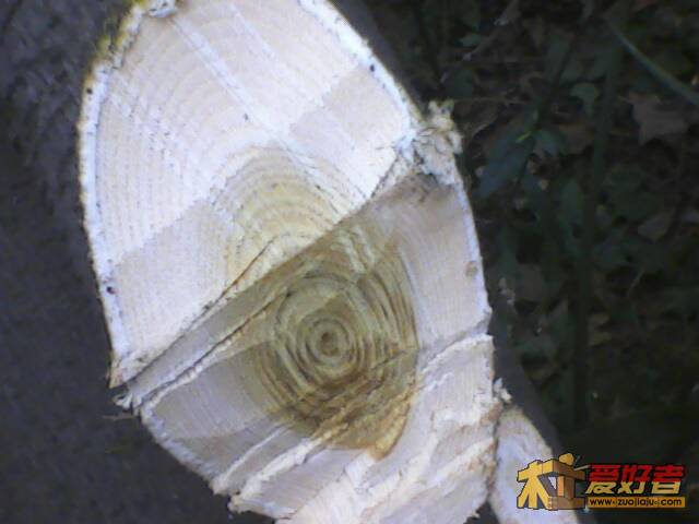 IMG1835A.jpg