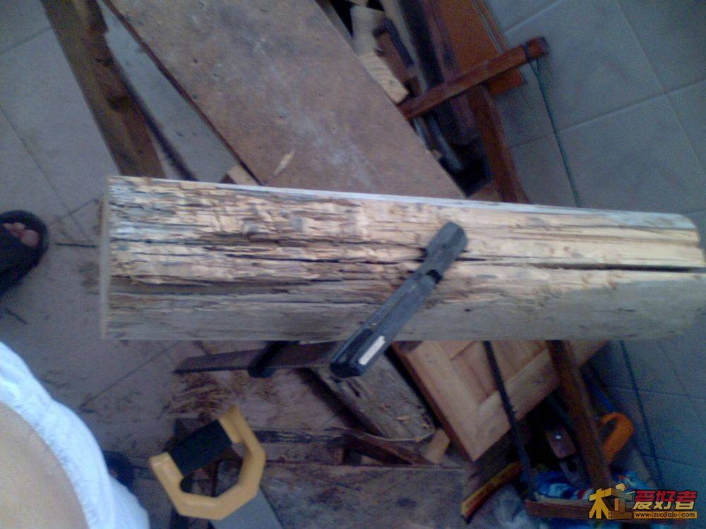 IMG1993A.jpg