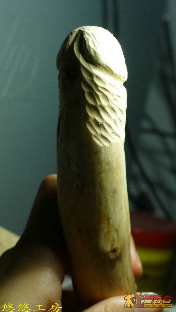 P1000229.JPG