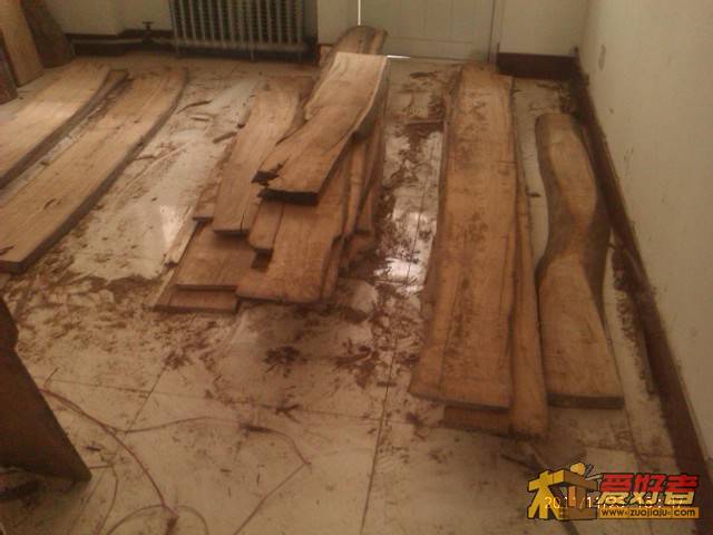 IMAG0245.jpg