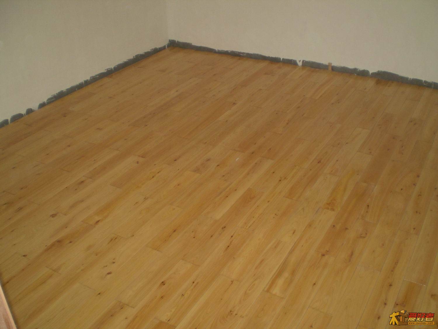 PB240408.JPG