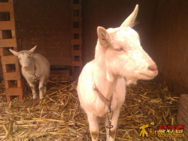 IMAG0269.jpg