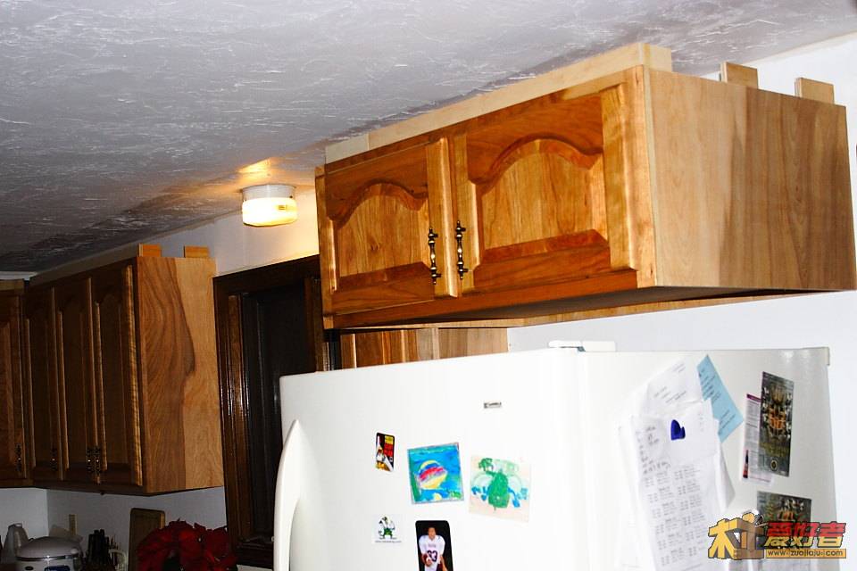 IMG_3528.JPG
