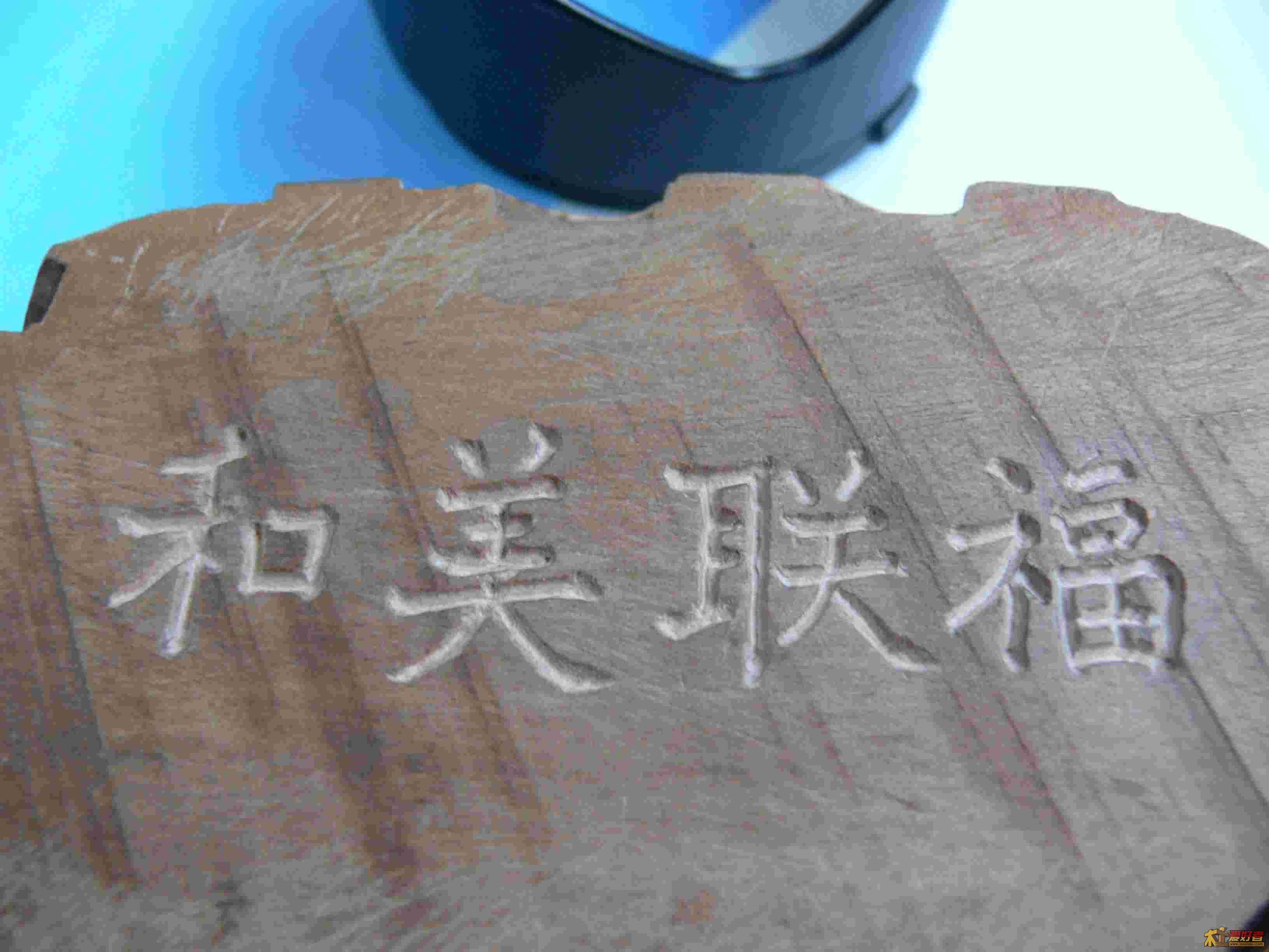 P1000573.jpg