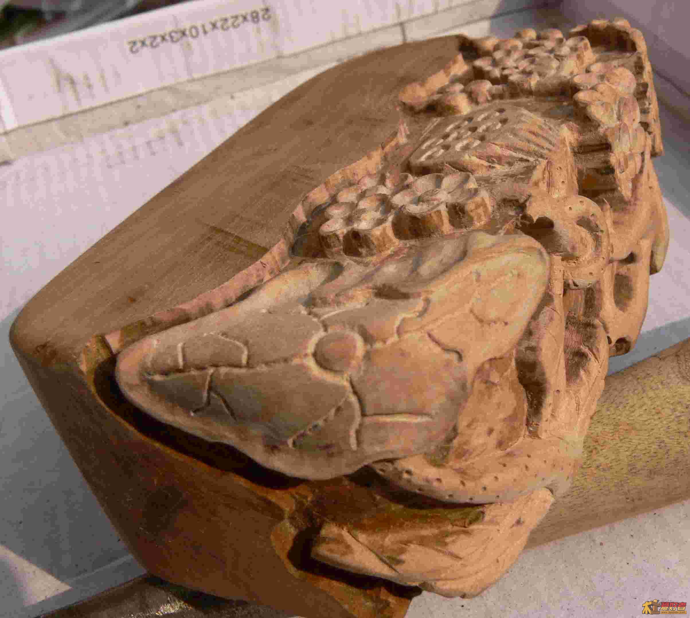 P1000577.jpg