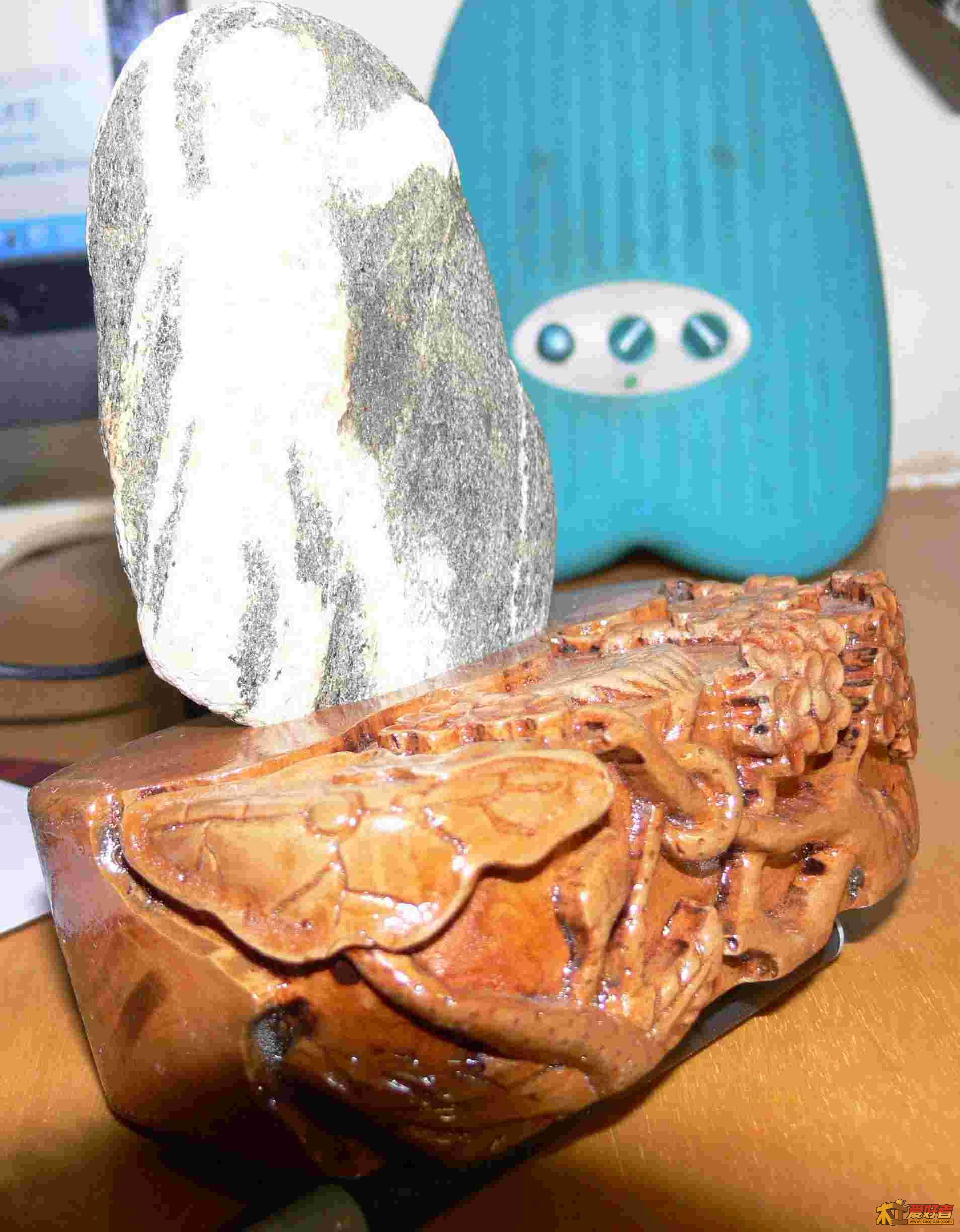 P1000669.jpg
