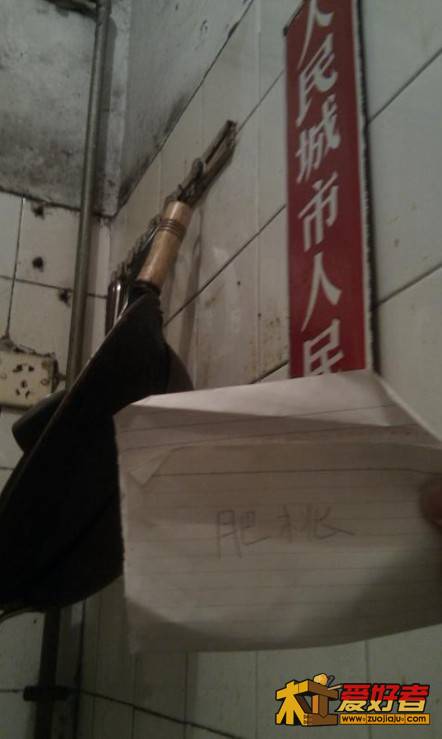 胖桃.jpg