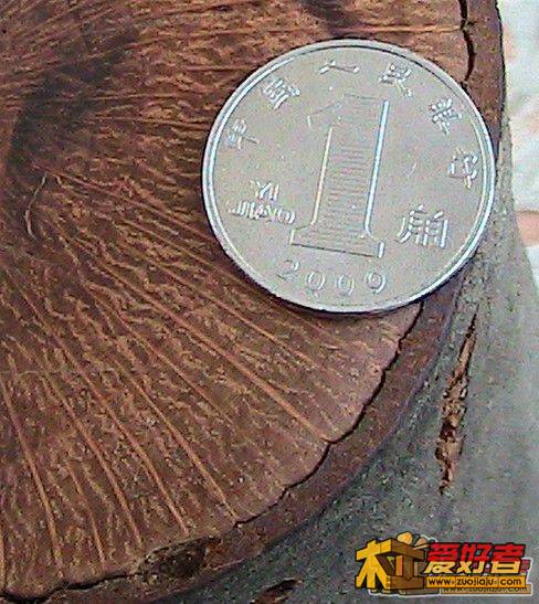 红椆2.jpg