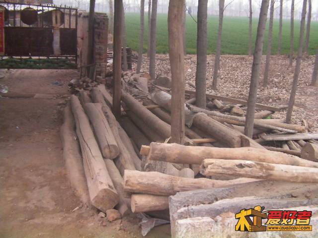 SANY0110.JPG