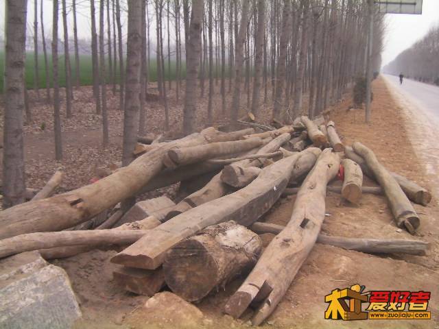 SANY0111.JPG