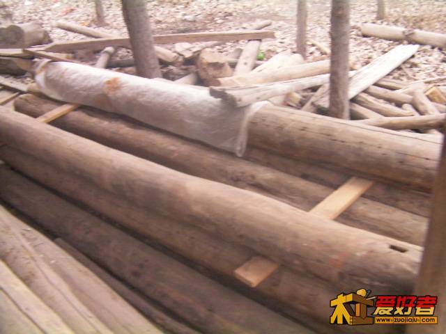 SANY0113.JPG