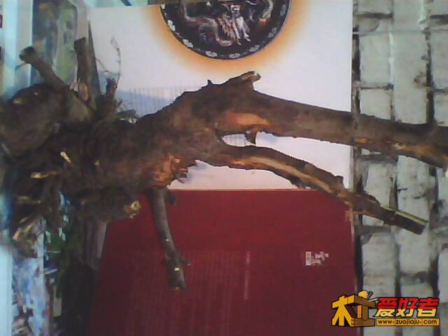 IMG0185A.jpg