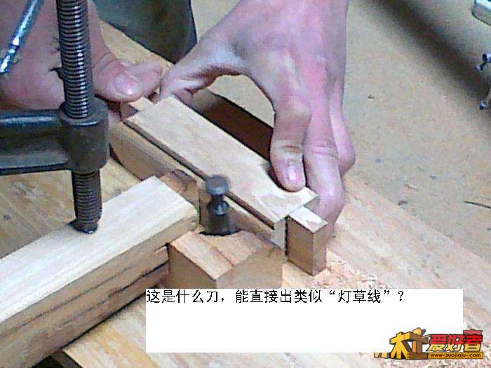 2045539q5ldxpp8nkxrxp9.jpg