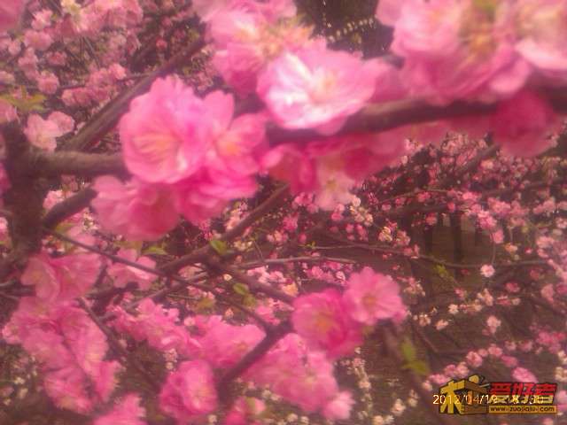 IMAG0390.jpg