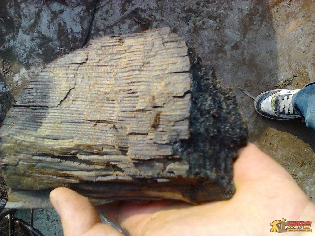 2012-05-02 17.20.12.jpg