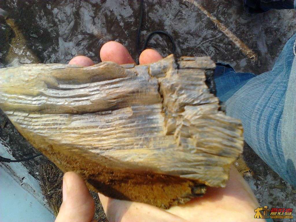 2012-05-02 17.20.22.jpg