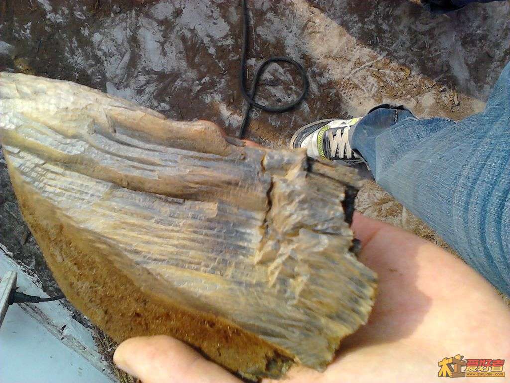 2012-05-02 17.20.26.jpg