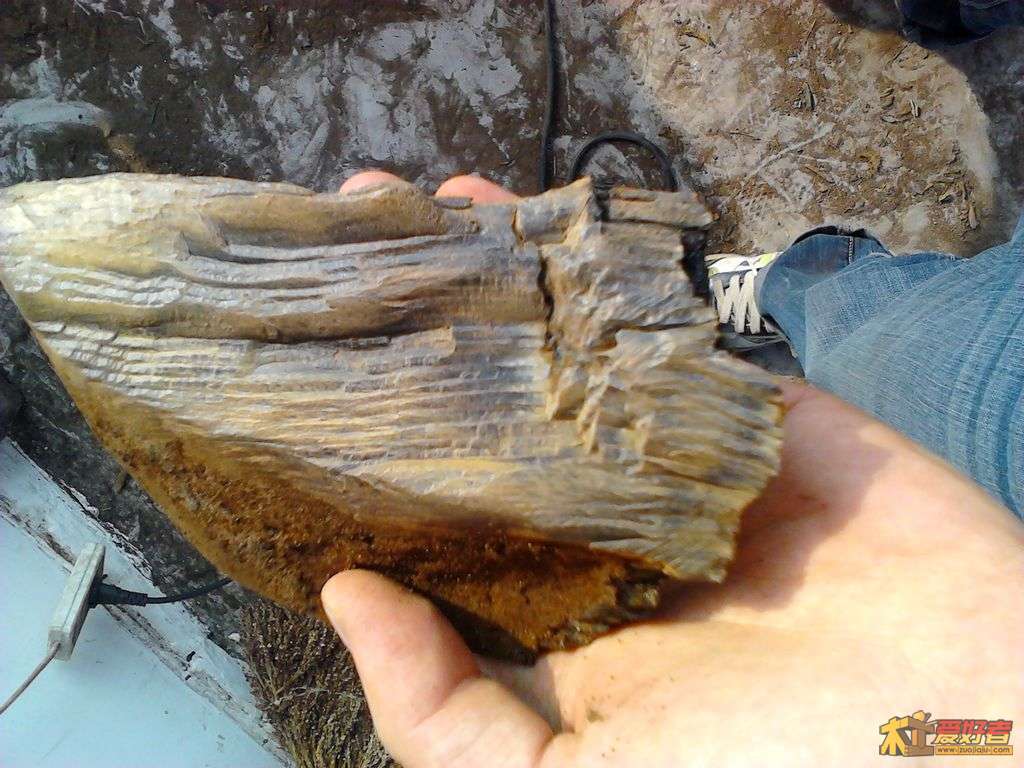 2012-05-02 17.20.29.jpg