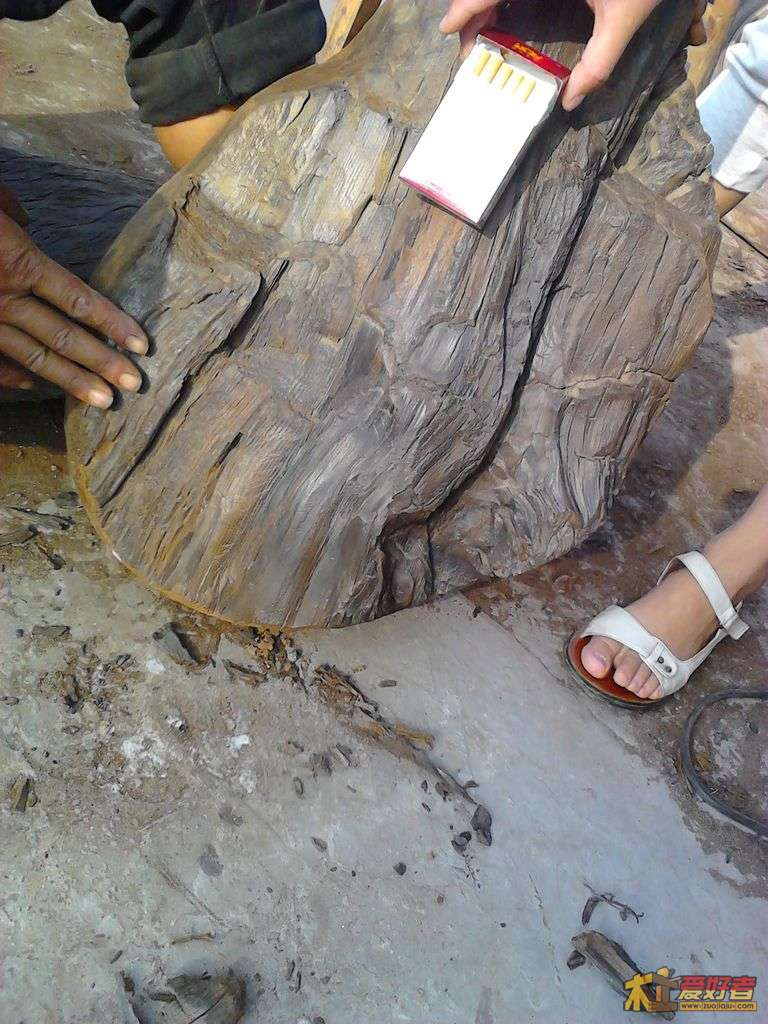 2012-05-02 17.36.21.jpg