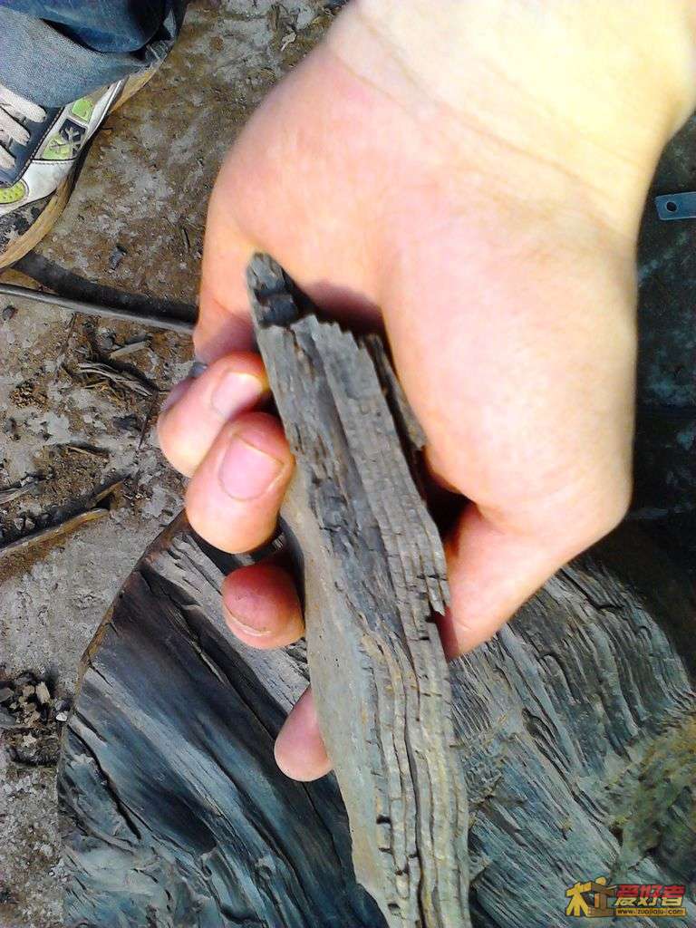 2012-05-02 17.37.13.jpg