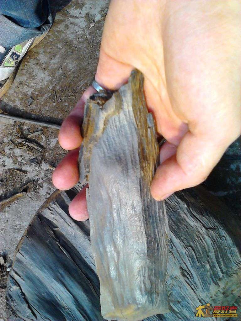 2012-05-02 17.37.17.jpg