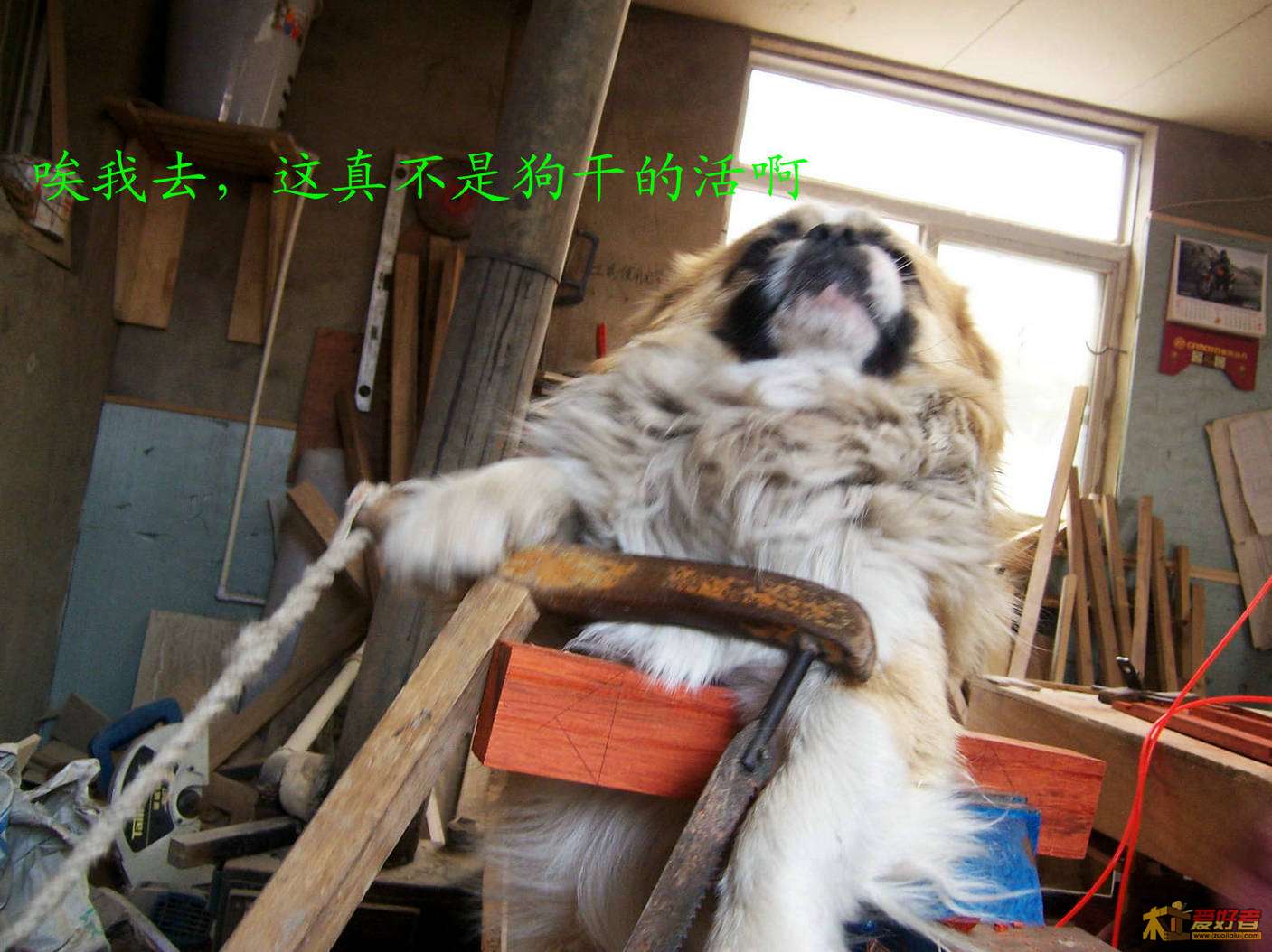 100_5912.JPG