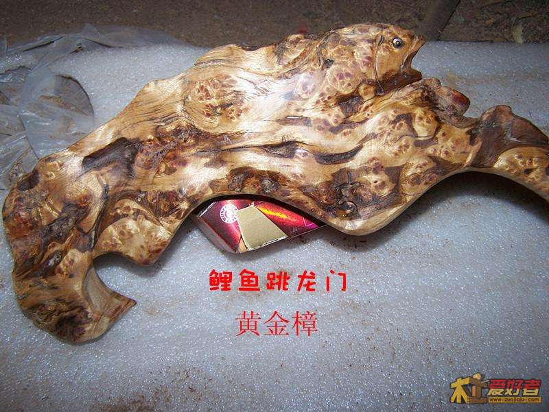 100_6240_副本 (1).jpg