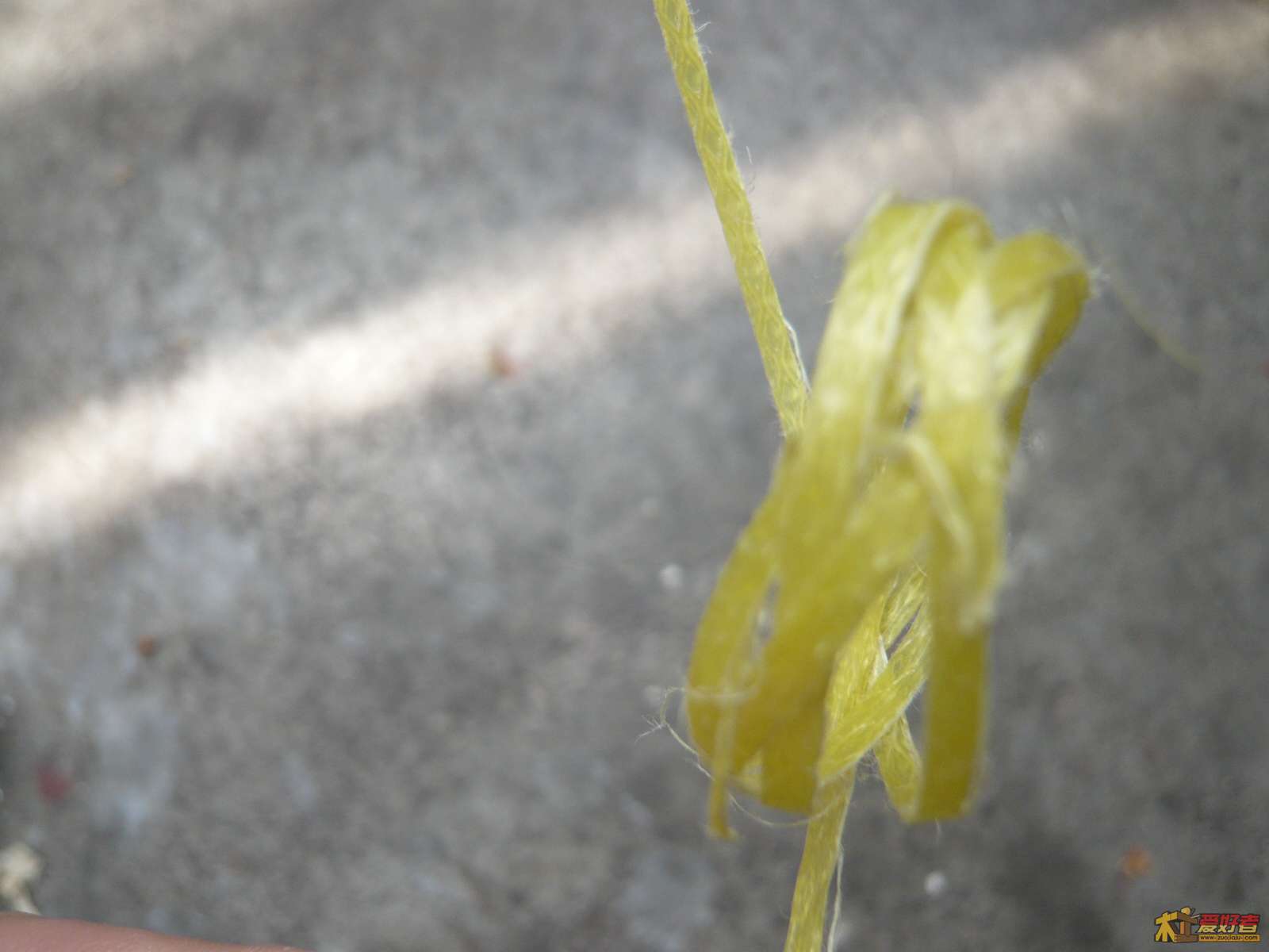P1040477.jpg