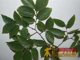 SSC_0651.jpg