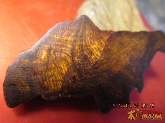 照片 206.jpg