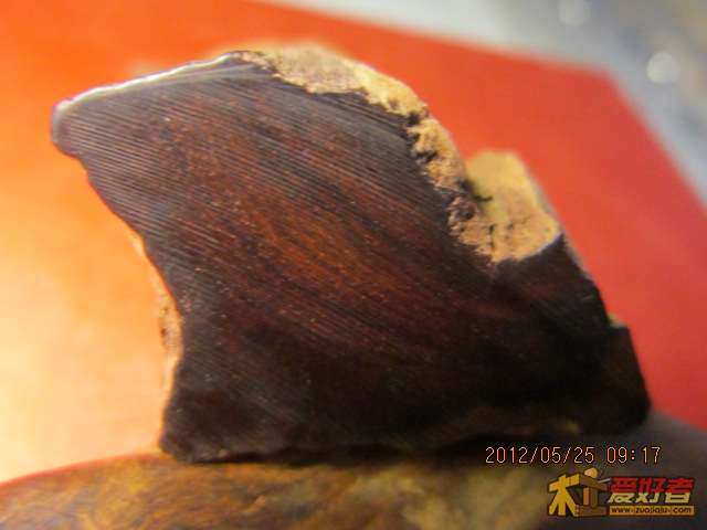 照片 207.jpg