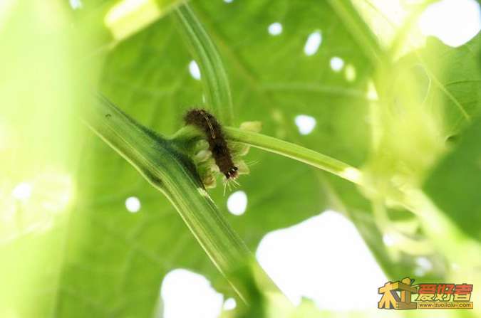 调整大小 2012070234.JPG