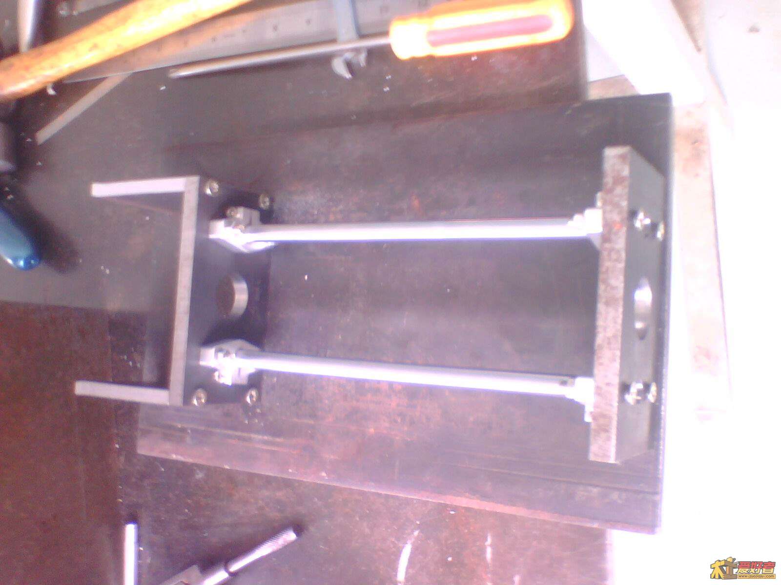 IMG0243A.jpg