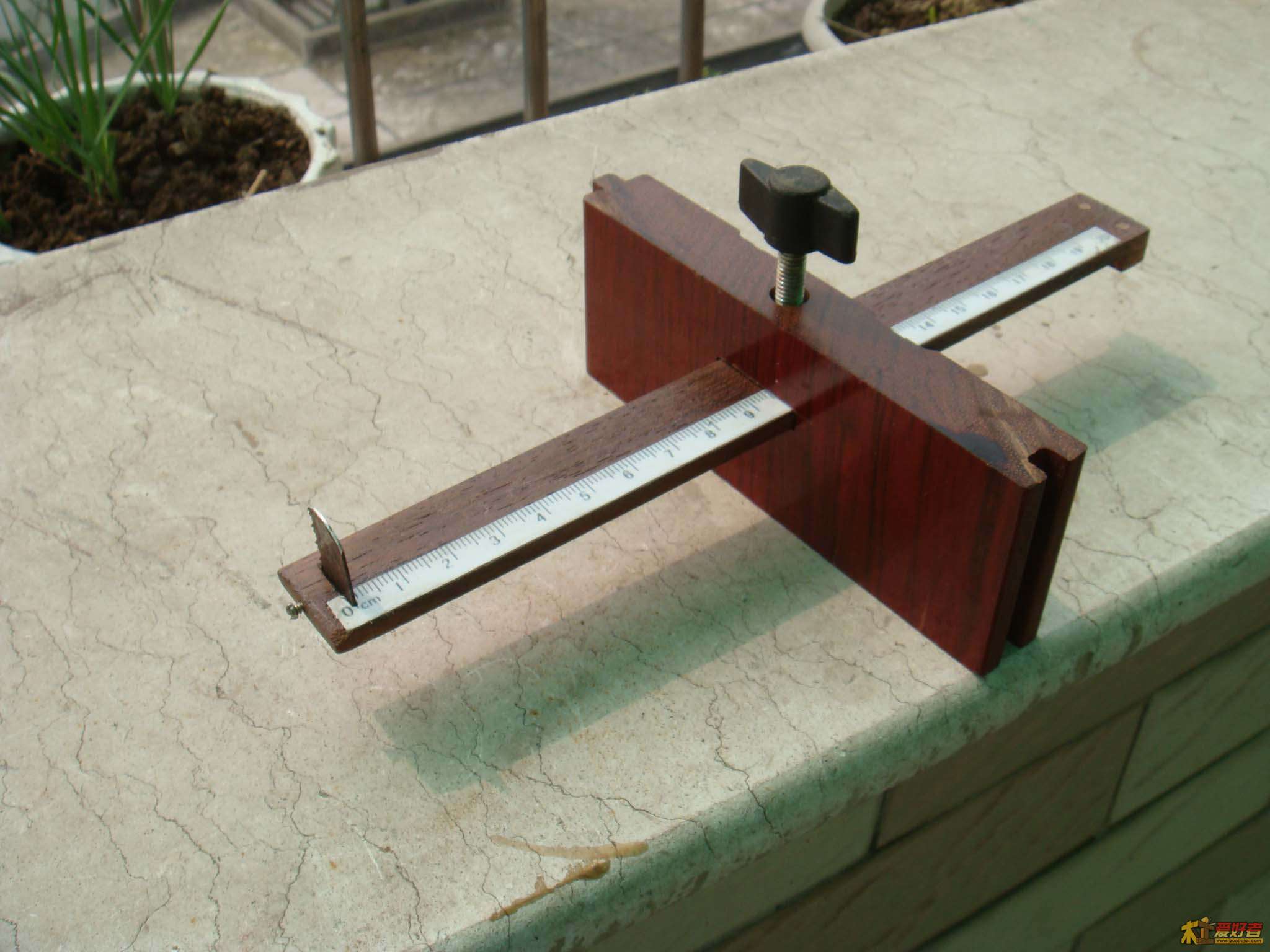 44.jpg