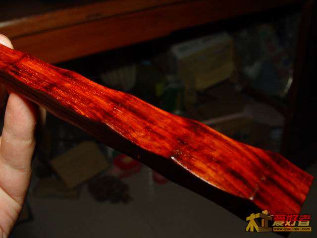 调整大小 DSC05782.jpg