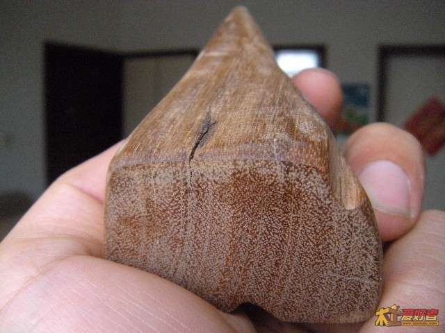 甲木横截面，未上油时