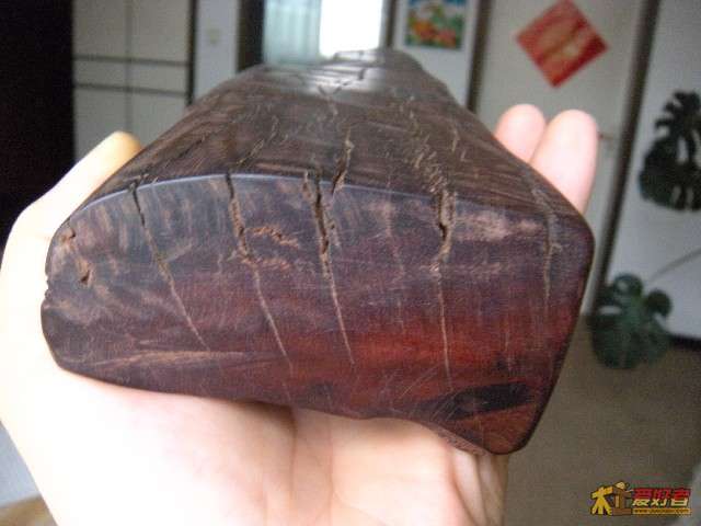 乙木端面，已上油