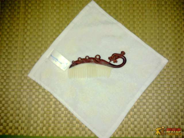20120812971.jpg