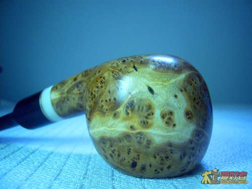 图案为一条小龙