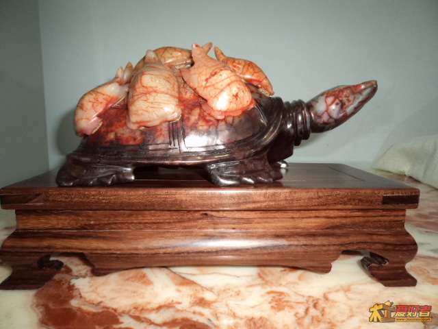 DSC00881.JPG
