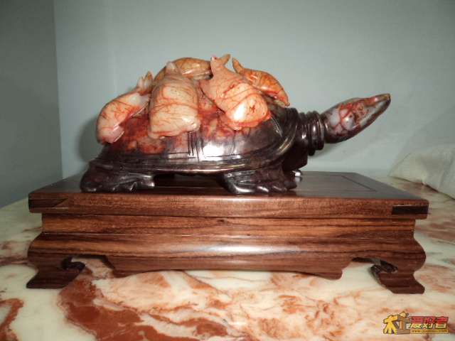 DSC00882.JPG