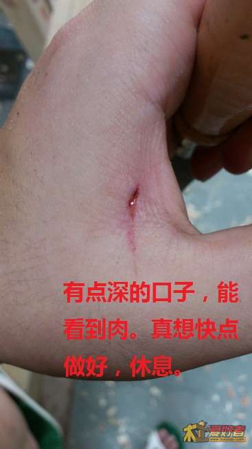 DSC_0072_调整大小.JPG