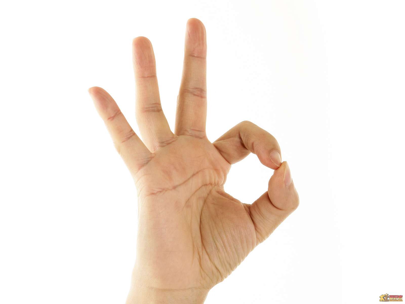 Hand_2009.jpg