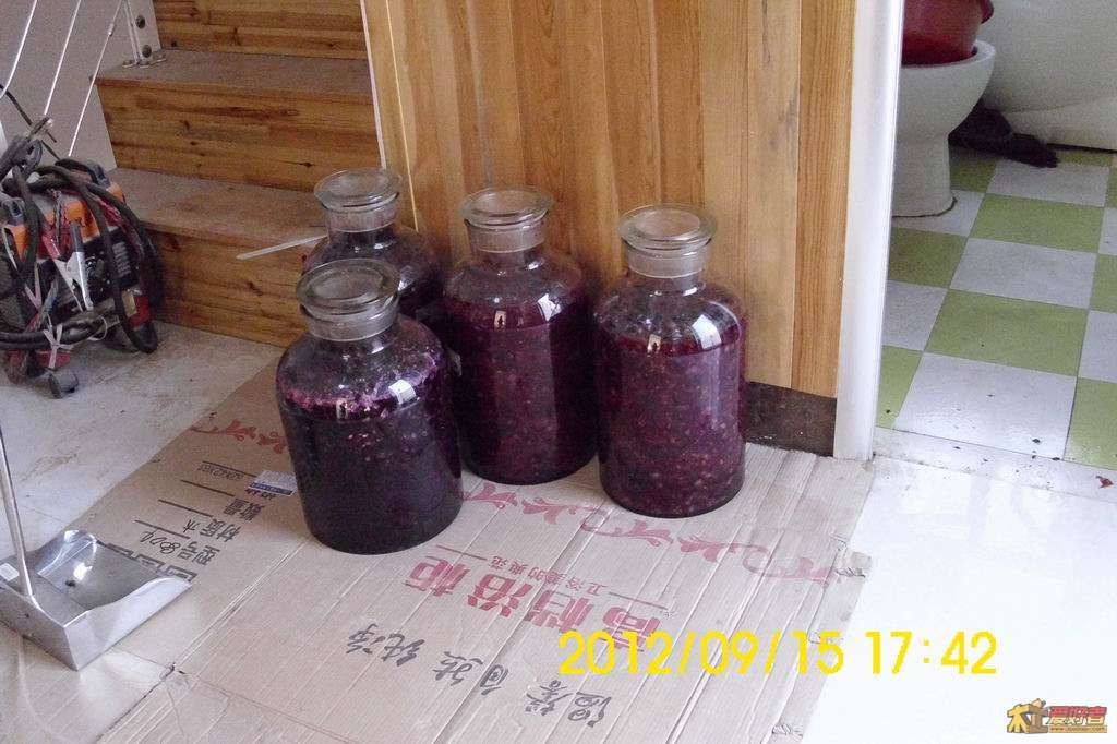 2012091516.JPG
